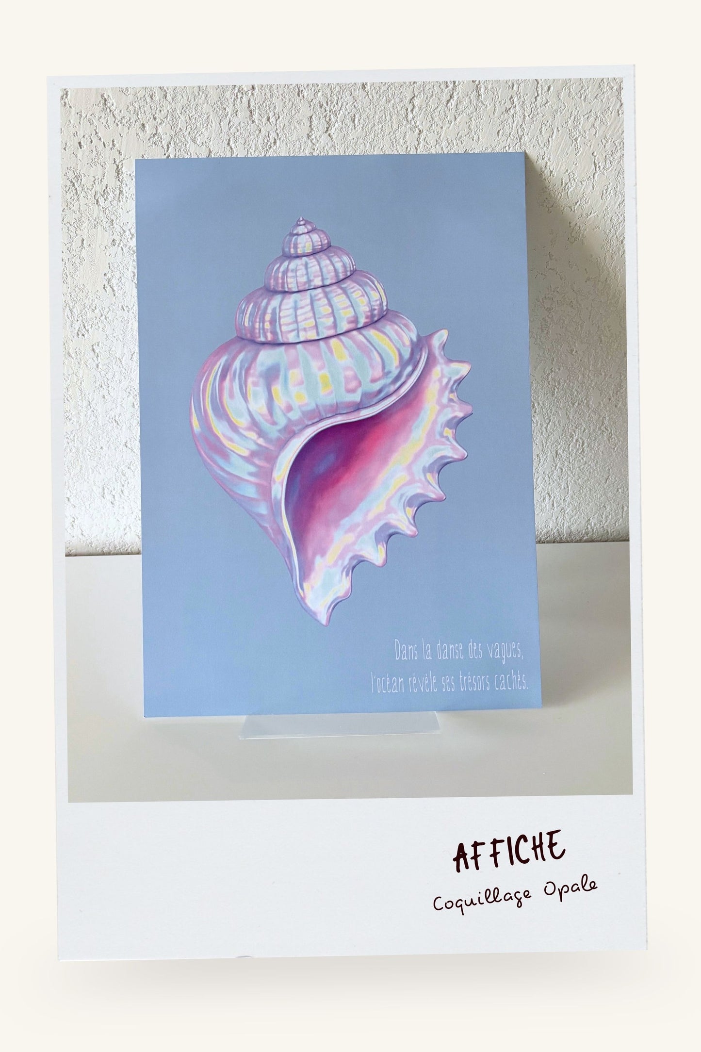Affiche "Coquillage Opale"
