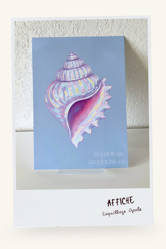Affiche "Coquillage Opale"